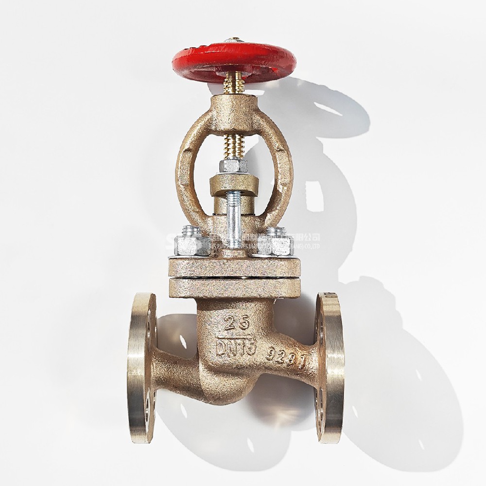 国标青铜直通法兰截止止回阀